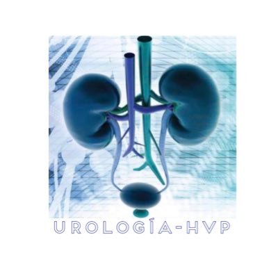 UrologiaHVP Profile Picture