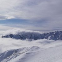 タイガーステップ (@saki_napoleone_) Twitter profile photo