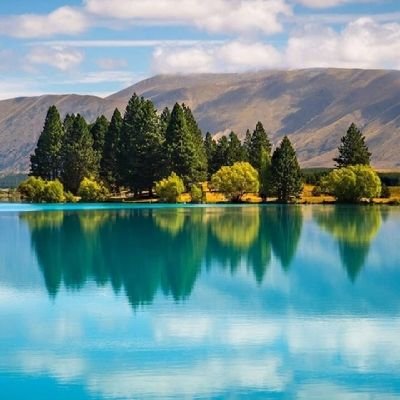 Jode20104889's profile picture. 