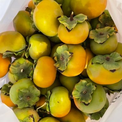 medicaldork's profile picture. Moved off Twitter for now. Same handle on med-mastodon.