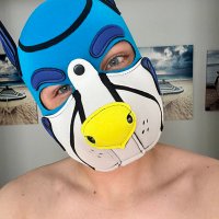 Teejpup awrarr π FWA β25 π (@pupteej) 's Twitter Profile Photo Teejpup awrarr π FWA β25 π (@pupteej) 's Twitter Profile Photo