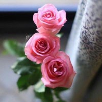 نورا 🇮🇶 (@mz_uuhd) 's Twitter Profile
