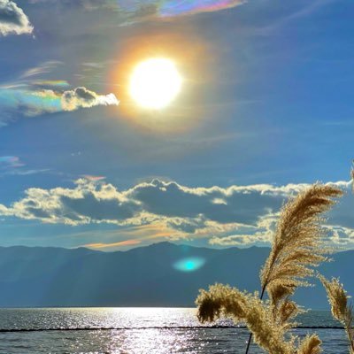 Wendy317611871's profile picture. Strive to be the best of yourself