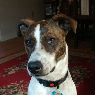 fanof09's profile picture. Motorsports, SF Giants, SF 49ers, Bayern München Soccer Team, Reading as many books as I can.