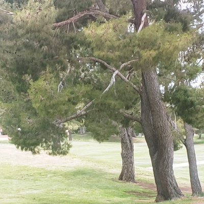 1badhombre001's profile picture. 