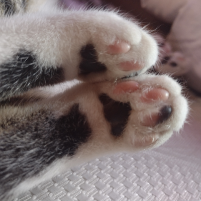 TadTadaima's profile picture. 