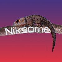 Niksome (@andrej_niksome) Twitter profile photo