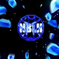 NBLHDAO (@nblhdao) 's Twitter Profile