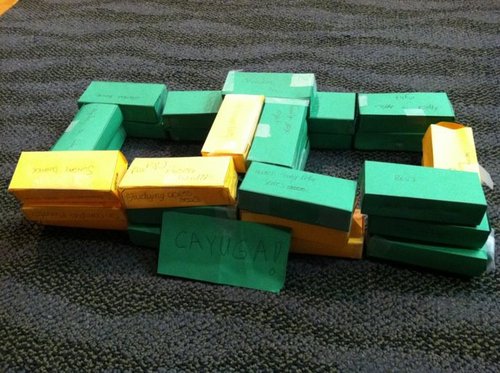 CayugaHallOZ's profile picture. 