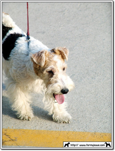 hairlong's profile picture. Dslr/멍멍이/건축법