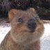 ✨Louise✨ preparing for PCP ✍️ (@comfy_parkjamas) Twitter profile photo ✨Louise✨ preparing for PCP ✍️ (@comfy_parkjamas) Twitter profile photo