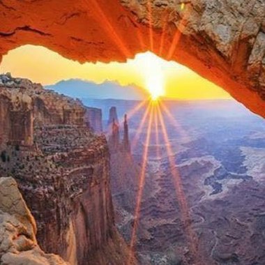 tightlinekc's profile picture. When "an individual forms part of a crowd, his intellectual standard is immediately and considerably lowered."