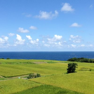 日琉諸語/諸方言(の、主に歴史)について考えています