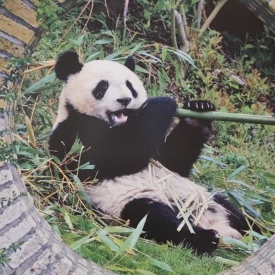 ben_digi's profile picture. ◕‿◕♥️☀️Keep your head up, if you fall, remember it's temporary, get yourself up and keep going with a big smile 🌞 ❤️
 love,laugh,live ♥️🤘◕‿◕ •