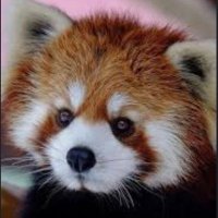 Zero-axis (@zeros55zs) 's Twitter Profile