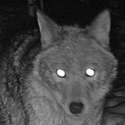 salemhumidan1's profile picture. أستـغـفـر الله العظيـمـ واتــوب اليــه