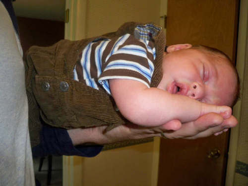 azterix's profile picture. software developer, woodworker, bassist, motorcyclist, bourbonista, uncle, aspiring astronaut