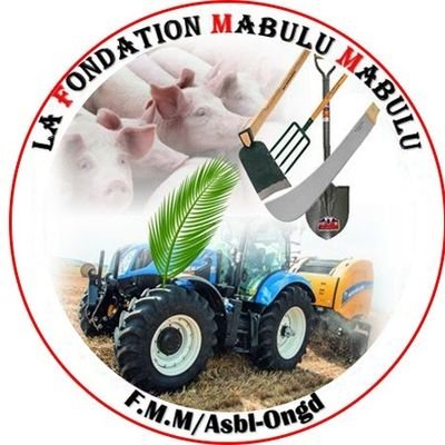 AsblMabulu's profile picture. Fondation Mabulu Mabulu , c'est une association sans but lucratif  / BP 180