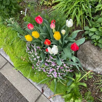 48歳です。気になったかたは宜しくです 。ゆる〜りとどうぞ！関東圏東京都内です。