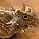 Steven Adams - @daKuleMune - Twitter