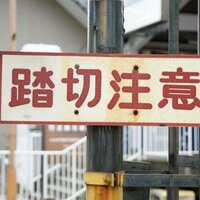 大善 (@daizen_y) 's Twitter Profile