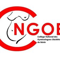 CNGOB (@cngob229) 's Twitter Profile Photo