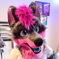 SkyeThePocketWolf (@pocketskye) 's Twitter Profile