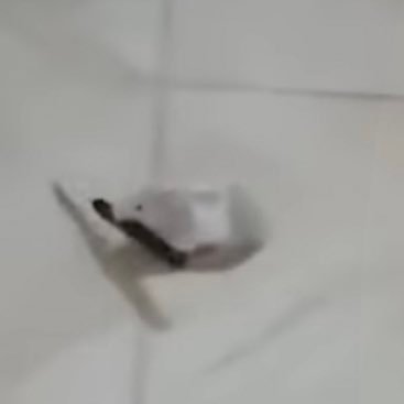 XxMipx's profile picture. Run
