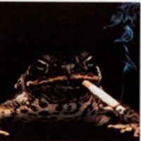 Mayo-Skinned MF (@steve_and_n) 's Twitter Profile