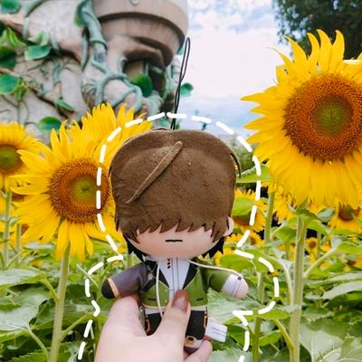 zircon 🌻さんのプロフィール画像