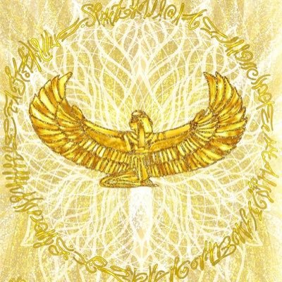 JavieraMiel1111's profile picture. Aquí por la verdad y la verdadera información.