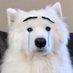 mn🦴: (@muninvb) Twitter profile photo mn🦴: (@muninvb) Twitter profile photo