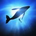 CryptoWhale (@cryptowhale717) Twitter profile photo CryptoWhale (@cryptowhale717) Twitter profile photo
