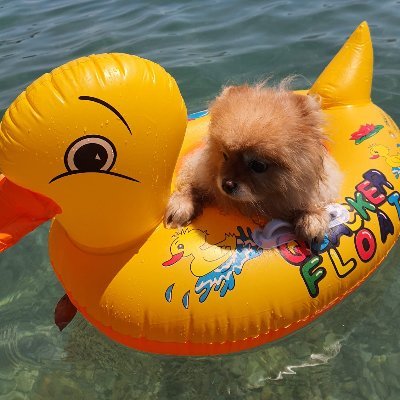 erenersungur's profile picture. 