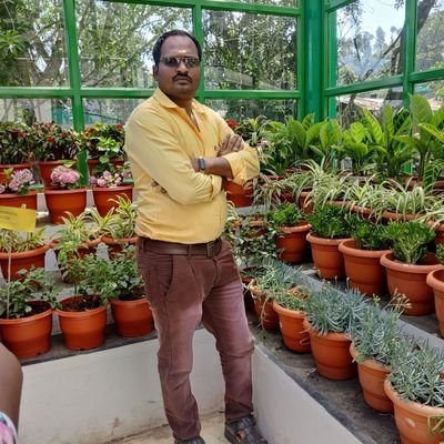 Murugan90642388's profile picture. Cricket