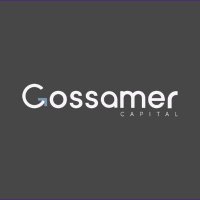 Gossamer Capital (@gossamercap) 's Twitter Profile