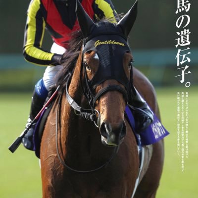 CheapImpact01's profile picture. ジェンティルドンナとシーザリオが好きです。