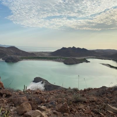 AraCuautle's profile picture. 🌊.🌱 🌴🌵