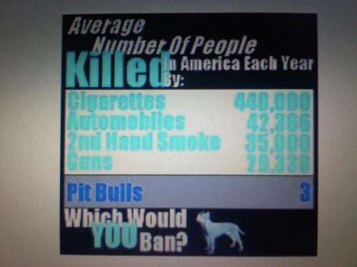 Pit_Mom's profile picture. Adoptive Mom, Foster Mom & Volunteer for Sioux Empire Pit Rescue