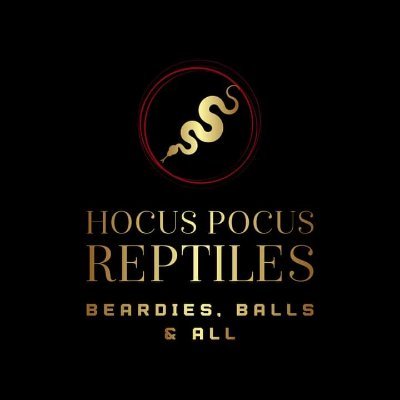 Reptile Breeder. Specializing in Ball Pythons and Bearded dragons.