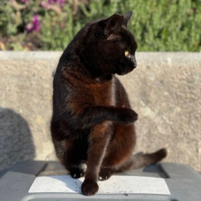 Miniature_1's profile picture. 