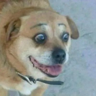 DetlefMeller1's profile picture. 🤡