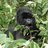 miembe's profile image