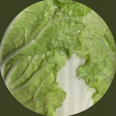 白菜ナベミさんのプロフィール画像