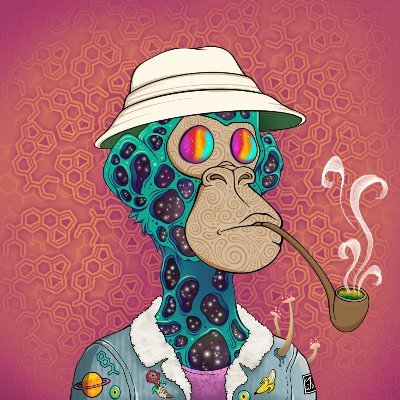 PavlinNikollov's profile picture. I'm gay 4 #solana Digging for the best NFT projects out there 🚀