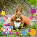 RedSquirrel (@GodSquadandMe) Twitter profile photo