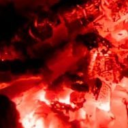 NeoCryptoX12's profile picture. 