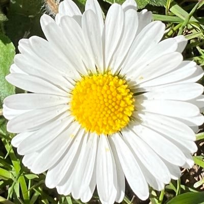 KellyWarfield9's profile picture. 