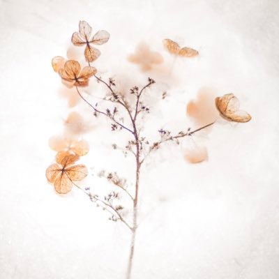 willさんのプロフィール画像