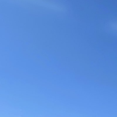 04210715_d's profile picture. 雑多 成人済